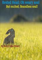 Rested head; Oh weary soul. But excited; boundless soul 0244775206 Book Cover