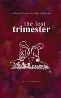 The Lost Trimester B0CRGFPD89 Book Cover