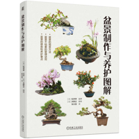 Illustrated Bonsai Production and Care 7111732162 Book Cover