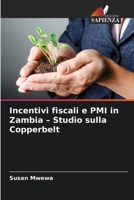 Incentivi fiscali e PMI in Zambia - Studio sulla Copperbelt (Italian Edition) 6209869173 Book Cover