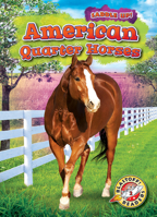 American Quarter Horses 1644872323 Book Cover