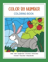 Color By Number Coloring Book: For Adult & Kids - with Fun, Easy, and Relaxing Coloring Pages B08RC5R97R Book Cover