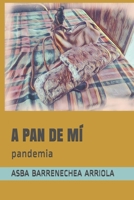 A Pan de MÍ: pandemia B08LQZT2MH Book Cover