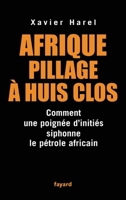 Afrique, pillage à huis clos 2213627584 Book Cover