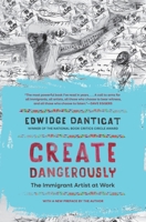Create Dangerously: The Immigrant Artist at Work 0691278083 Book Cover