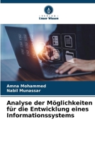 Analyse der Möglichkeiten für die Entwicklung eines Informationssystems (German Edition) 6208512050 Book Cover