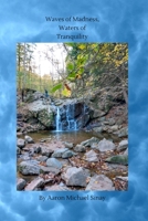 Waves of Madness, Waters of Tranquility 151197494X Book Cover