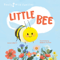 Little Bee: A Day in the Life of the Bee Brood 0711274150 Book Cover