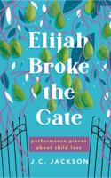 Elijah Broke the Gate: Performance Pieces about Child Loss 1737934418 Book Cover