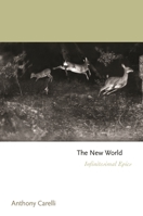 The New World: Infinitesimal Epics 069121879X Book Cover