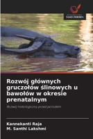 Rozwój glównych gruczolów slinowych u bawolów w okresie prenatalnym (Polish Edition) 620249896X Book Cover