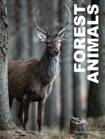 Forest Animals 1838863656 Book Cover