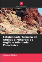 Estabilidade Térmica de Argilas e Minerais de Argila e Atividade Pozolânica (Portuguese Edition) 6208190916 Book Cover