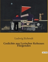 Gedichte aus Lyrischer Kehraus: Fliegendes B0BSSLZPBF Book Cover