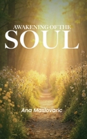 Awakening Of The Soul B0FVFXVFFD Book Cover