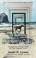 The 21 Lives of Sanjay and Cider: Twenty-One Strange Tales of Two Singular Lives 1736373927 Book Cover