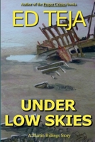 Under Low Skies B0C6GCSST6 Book Cover
