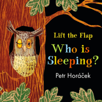 Who Is Sleeping? 1536201723 Book Cover