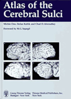 Atlas Of The Cerebral Sulci 3137321018 Book Cover