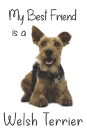 My best Friend is a Welsh Terrier: 8” x 5” Blank lined Journal Notebook 120 College Ruled Pages (Best Friends) 1712592033 Book Cover
