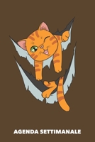 Agenda Settimanale: Miao dentro A5 manoscritto floreale - Agenda con Pianificatore Settimanale 52 settimane per Proprietario del Gatto (marrone) (Italian Edition) 1689881844 Book Cover