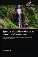 Specie di zolfo ridotte e loro trasformazioni: all'interfaccia acqua-sedimento dei sedimenti di mangrovie di Goa 6203603740 Book Cover