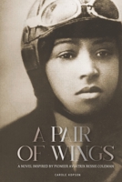 A Pair of Wings: A Novel 125034722X Book Cover