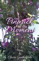 The Pinprick of the Moment 1915889138 Book Cover