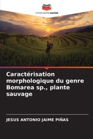 Caractérisation morphologique du genre Bomarea sp., plante sauvage (French Edition) B0CKKVCDBX Book Cover