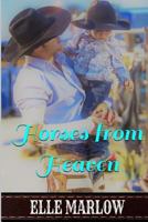 Horses from Heaven 1545220255 Book Cover