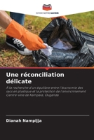 Une réconciliation délicate 6136289075 Book Cover