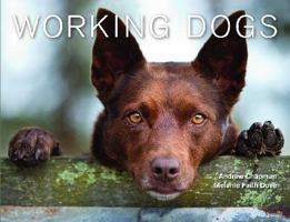 Working Dogs 1743461607 Book Cover