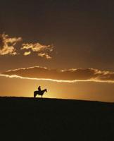 Horse Photo School Composition Book Equine Breathtaking Cowboy Sunset: Horse Photo Equine Covers Composition Books Notebooks (Notebook, Diary, Blank Book) 1079464123 Book Cover