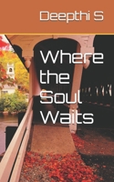 Where the Soul Waits B0GDMNX93D Book Cover