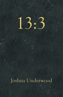 13:3 1664230920 Book Cover
