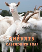 Chèvres Calendrier 2021: Calendrier mensuel 2021 du lundi au dimanche avec des photos de chèvres majestueuses B08PQVQTDW Book Cover