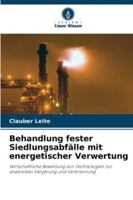 Behandlung fester Siedlungsabfälle mit energetischer Verwertung: Wirtschaftliche Bewertung von Technologien zur anaeroben Vergärung und Verbrennung (German Edition) 6208767105 Book Cover