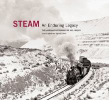 Steam: An Enduring Legacy: The Railroad Photographs of Joel Jensen 0393082482 Book Cover