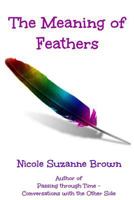 The Meaning of Feathers 0992273536 Book Cover