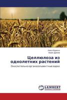 Tsellyuloza Iz Odnoletnikh Rasteniy 3848435535 Book Cover