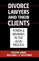 Divorce Lawyers and Their Clients: Power and Meaning in the Legal Process 0195117999 Book Cover