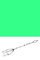 Boy & Arrow 1388774151 Book Cover