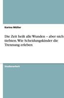 Die Zeit heilt alle Wunden - aber nicht die tiefsten. Wie Scheidungskinder die Trennung erleben 3640487761 Book Cover