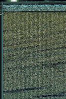 Kate Gallagher and the Zimmermanite Quest 1482895870 Book Cover