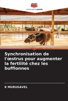 Synchronisation de l'oestrus pour augmenter la fertilité chez les bufflonnes (French Edition) 6203495123 Book Cover
