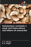 Valutazione varietale e studi sull'intercoltura nell'albero di anacardio (Italian Edition) 6208492815 Book Cover