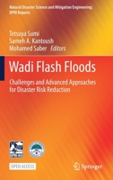 Wadi Flash Floods: Challenges and Advanced Approaches for Disaster Risk Reduction 9811629064 Book Cover