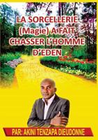 La Sorcellerie(Magie)A Fait Chasser L'Homme D'Eden 0620829729 Book Cover