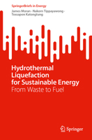 Hydrothermal Liquefaction for Sustainable Energy: From Waste to Fuel (SpringerBriefs in Energy) 9819256852 Book Cover