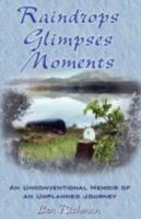 Raindrops, Glimpses, Moments: An Unconventional Memoir of an Unplanned Journey 1595268375 Book Cover